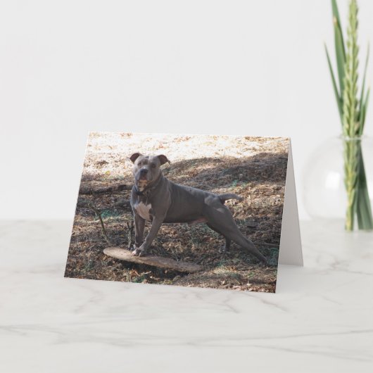 スケートボードピットブルカード付き誕生日 カード (正面)