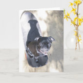 スケートボードポーグカード（写真） カード (黄色い花)