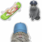 スケートボード上の猫 シール (正面)