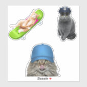 スケートボード上の猫 シール (シート)