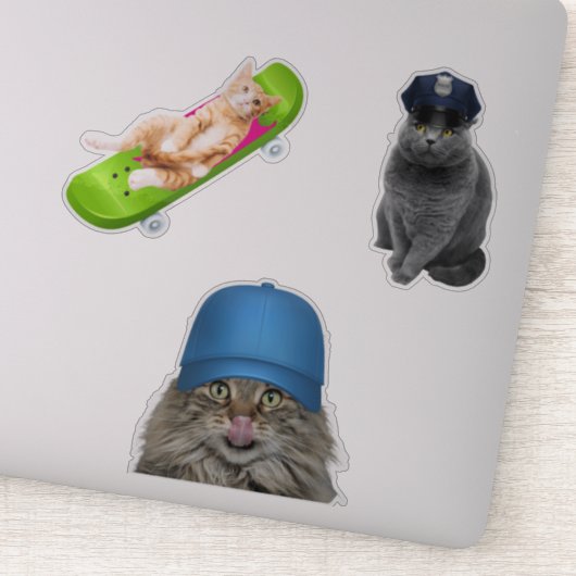 スケートボード上の猫 シール (詳細)