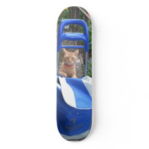 スケートボード生姜猫