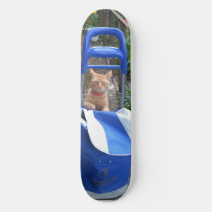 スケートボード生姜猫 スケートボード