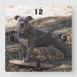 スケートボード番号付きウォールクロック付きピットブル スクエア壁時計