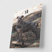 スケートボード番号付きウォールクロック付きピットブル スクエア壁時計 (傾斜)