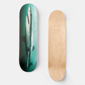 スケートボード美しいサメ捕食者。 スケートボード (正面)