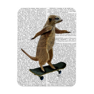 スケートボード2のMeerkat マグネット
