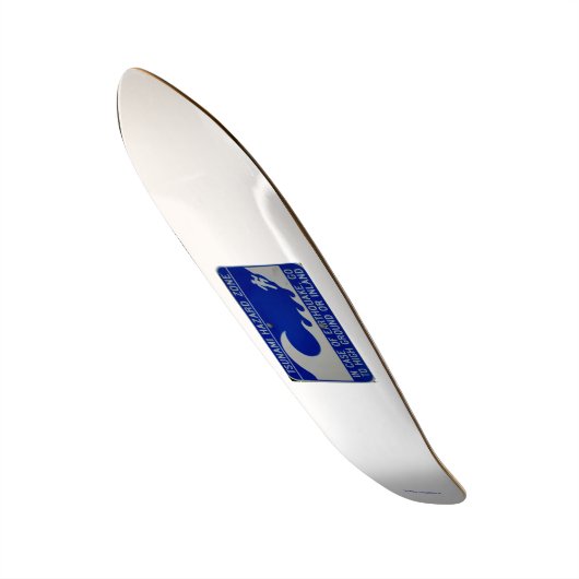 スケートボード – 津波帯 (正面)