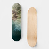 スケートボード – Dandelion Seeds (正面)