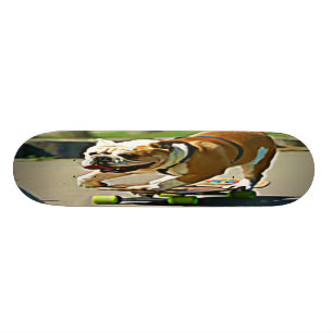 スケート選手犬のスケートボード スケートボード