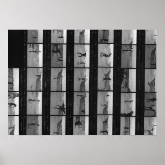 スケート！ ポスター