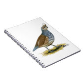 スケールウズラ ノートブック (右側)