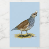 スケールウズラ フードラベル (シングルラベル)