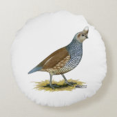 スケールウズラ ラウンドクッション (裏面)