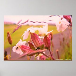 スコアフラワー ポスター