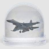 スコイSu-35S (裏面)