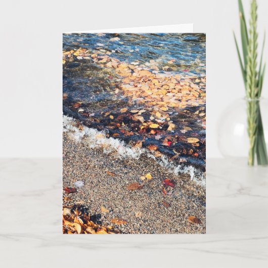 スコウディックベイin秋 シーズンカード (正面)