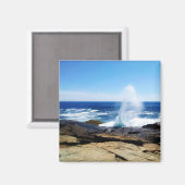 スコウディックポイント マグネット (正面/裏面)