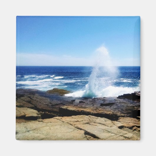 スコウディックポイント マグネット (正面)