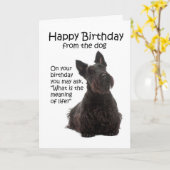 スコッおもしろいティ誕生日カード カード (黄色い花)