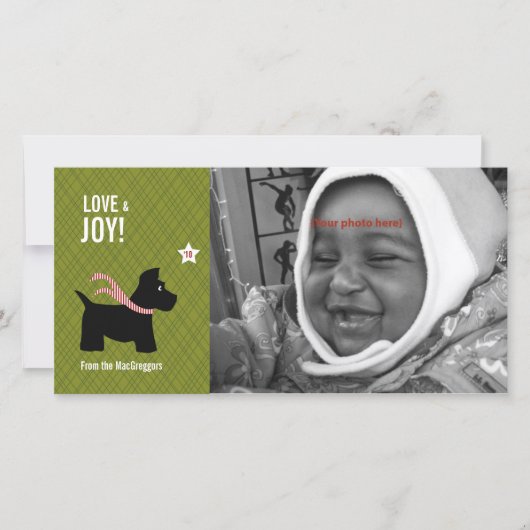 スコッチテリアのクリスマスの写真カード シーズンカード (正面)