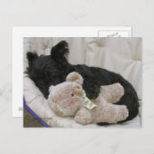 スコッチテリアの子犬の睡眠 ポストカード (正面/裏面)