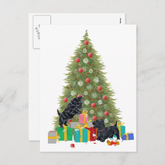 スコッチテリアはクリスマスのギフトを分類します シーズンポストカード (正面/裏面)