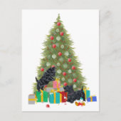 スコッチテリアはクリスマスのギフトを分類します シーズンポストカード (正面)