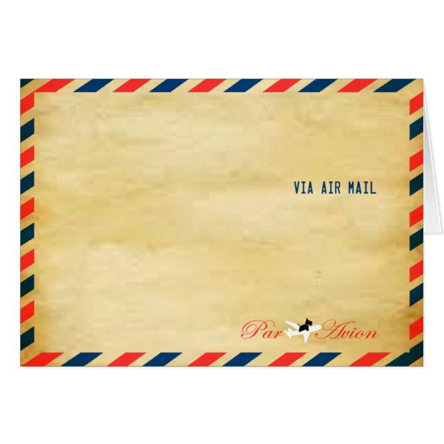 スコッチテリア8無し (正面横)