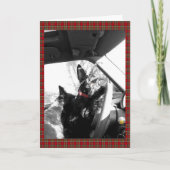 スコッチテリア カード (正面)