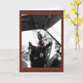 スコッチテリア カード (黄色い花)