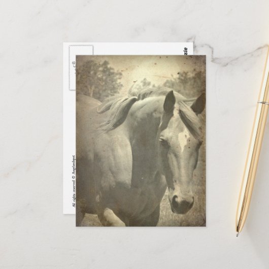 スコッチフェイクヴィンテージ ポストカード (正面/裏面インサイチュ)