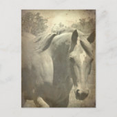 スコッチフェイクヴィンテージ ポストカード (正面)