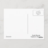 スコッチボンネットチリペッパー ポストカード (裏面)