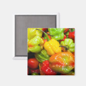 スコッチボンネット マグネット (正面/裏面)