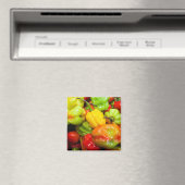 スコッチボンネット マグネット (インサイチュ (食洗機))