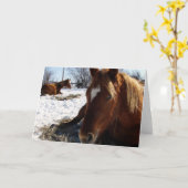 スコッチ眠り カード (黄色い花)