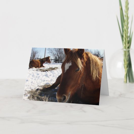 スコッチ眠り カード (正面)