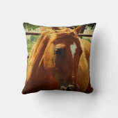 スコッチ クッション (裏面)