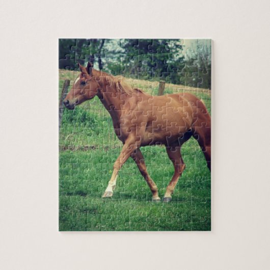 スコッチ ジグソーパズル (縦)