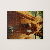 スコッチ ジグソーパズル (横)