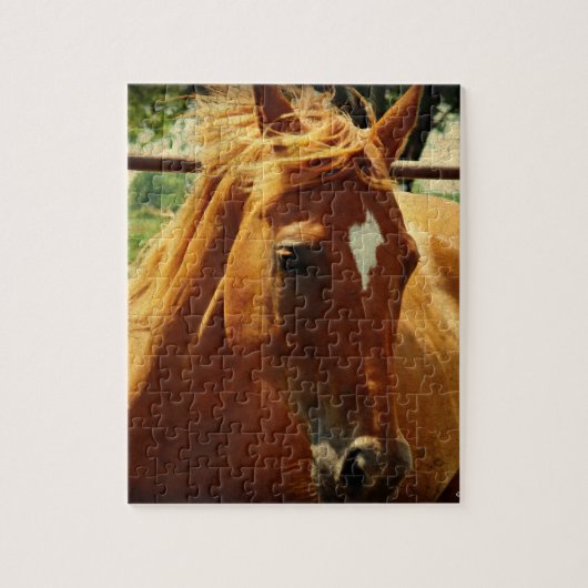 スコッチ ジグソーパズル (縦)