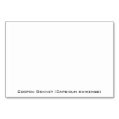 スコッチ·ボンネット·ペッパーズ テーブルナンバー (裏面)