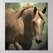 スコッチ ポスター (正面)