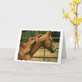 スコッチ、誕生日 カード (黄色い花)