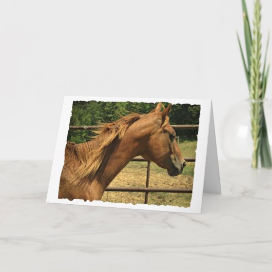 スコッチ、誕生日 カード (正面)