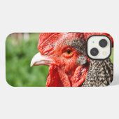 スコッツグレイ雄鶏の写真 iPhoneケース (裏面横)