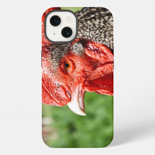 スコッツグレイ雄鶏の写真 iPhoneケース (裏面)