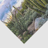 スコッツデールのSucculentの日没 薄葉紙 (詳細)