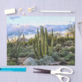 スコッツデールのSucculentの日没 薄葉紙 (クラフト)